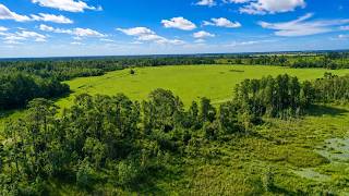 Lake Alfred FL MLS