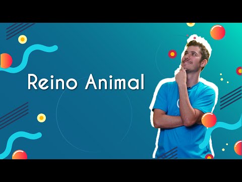 Reino Animal - Brasil Escola