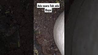 Download lagu Suara Anjing Tanah atau Orong-orong #shorts #orongorong #anjing #animals mp3 Download lagu Suara Anjing Tanah atau Orong-orong #shorts #orongorong #anjing #animals mp3