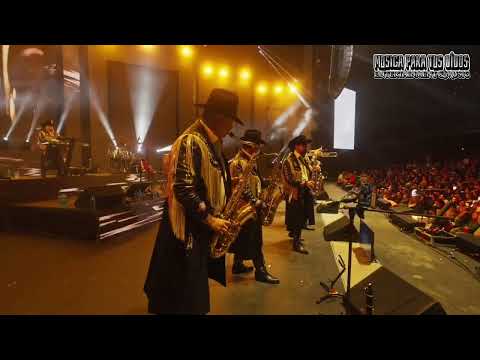 Banda Machos - Al Gato Y Al Ratón ( En Vivo Desde Auditorio Telmex 2025 )