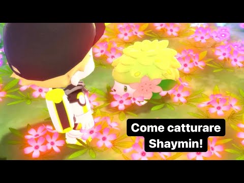 Come catturare Shaymin in Pokémon Diamante Lucente e Perla Splendente!