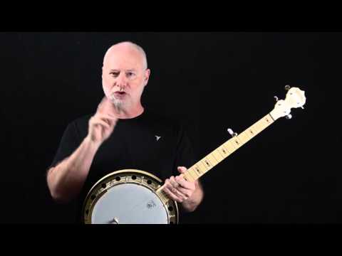 Goodtime Two Banjo by Deering