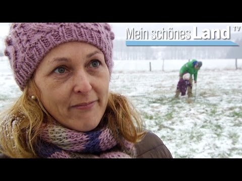 Frühling im Münsterland - die schönsten Höfe Norddeutschlands (NDR)
