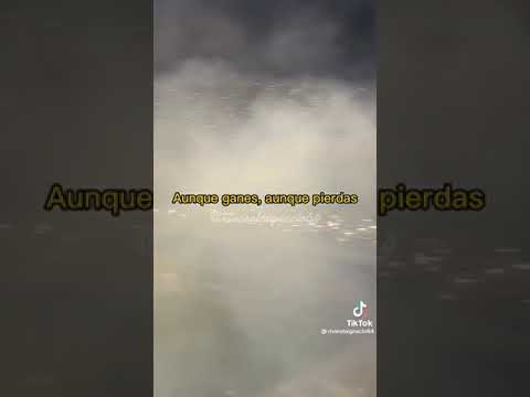 canción de river plate (todos los domingos a la tarde )