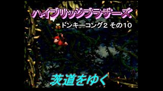 ドンキーコング２_その10[ハイブリッジブラザーズ]
