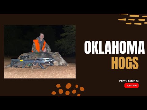 Oklahoma Hogs