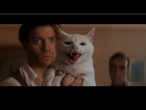 Il Gatto, il Guardiano dell'Aldilà