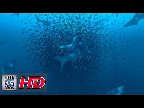 CGI 3D Animated Short: "Gathering Swarm"  - by Arne Kirchberg & Hans Lösche