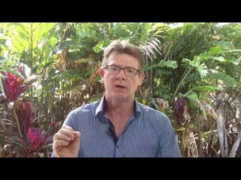 Reversing Alzheimer's and Parkinson's With Near Infrared