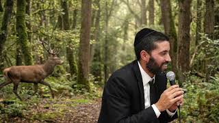 תורידו את הקרניים 🦌 והחיים שלכם ישתנו לטובה - הרב שניר גואטה במסר גאוני - עם כתוביות (הרב שניר גואטה) - התמונה מוצגת ישירות מתוך אתר האינטרנט יוטיוב. זכויות היוצרים בתמונה שייכות ליוצרה. קישור קרדיט למקור התוכן נמצא בתוך דף הסרטון