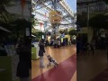 Walking Tour Of Nickelodeon Universe At Mall Of Am