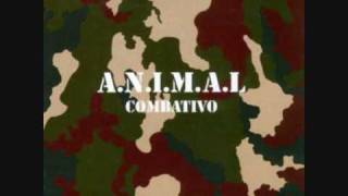A.N.I.M.A.L - Combativo