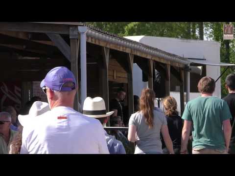 TopTalent Dressage Talent Uitgelicht CDI SINT TRUIDEN 2019