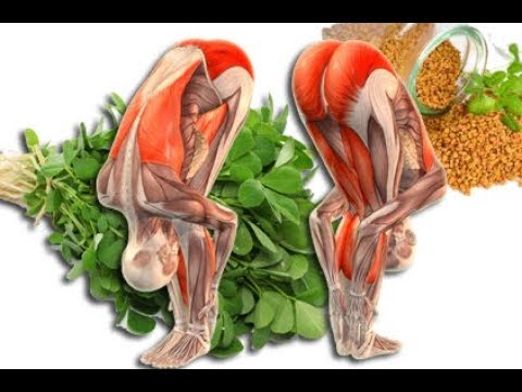 Memo Kinder Ernährung bei Diabetes Die Wirkung auf den Cholesterin Diabetes