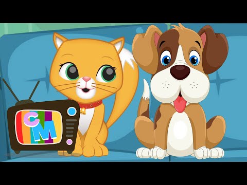 Colaj Catelusi si Pisicute  - Clopotelul Magic - cantece pentru copii