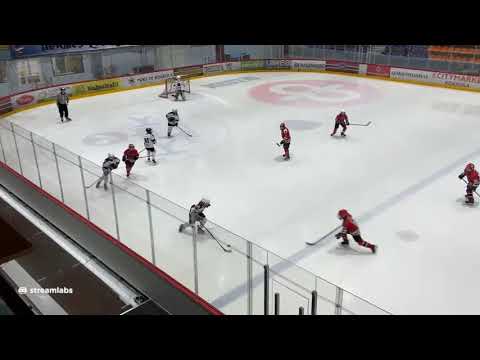 31.1. U11 Hermes sininen - S - Kiekko sininen