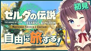 【ティアキン】寄り道大好き初見実況｜サリア湖ついに到達や祠お宝コンプや地底の闘技場でコログのお面【ゼルダの伝説ティアーズオブザキングダム Switch2 VTuber なちゅモカ】156