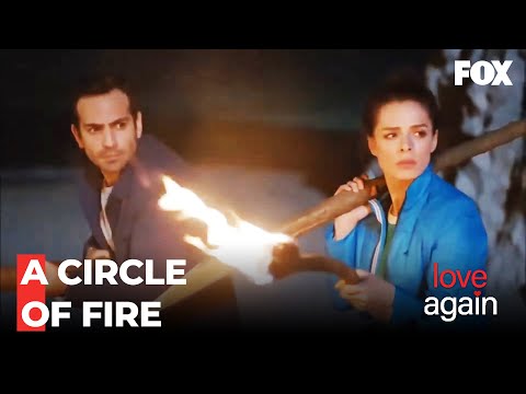 Zeynep And Fatih's Precautions Against Zombies - Love Again Episode 36