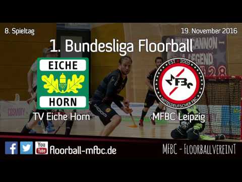 Highlights: TV Eiche Horn Bremen - MFBC Leipzig / 8. Spieltag 2016/2017