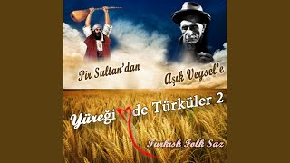 Şu Köyceğiz Yolları