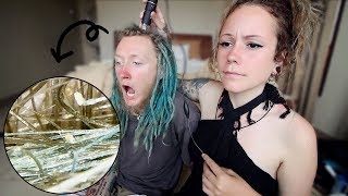 DREADLOCKS Under A Microscope (+ Other Body Parts)