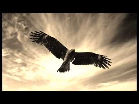Kimen Farias - La danza del Falco