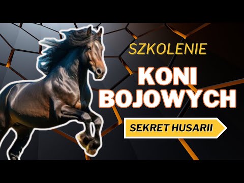 Jak ze Zwykłych Koni Husaria Robiła POTWORY?