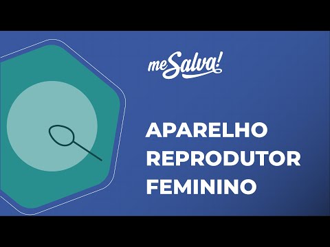 Aparelho reprodutor feminino - Reprodução  - Embriologia - Me Salva! Saúde