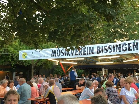 Musikverein Bissingen e.V. - Enztalfest 2016