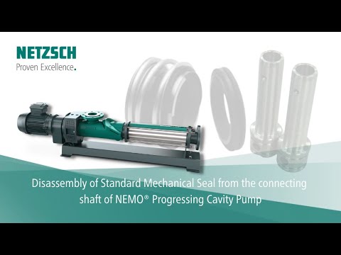 Feeding Screw Pump With Hopper