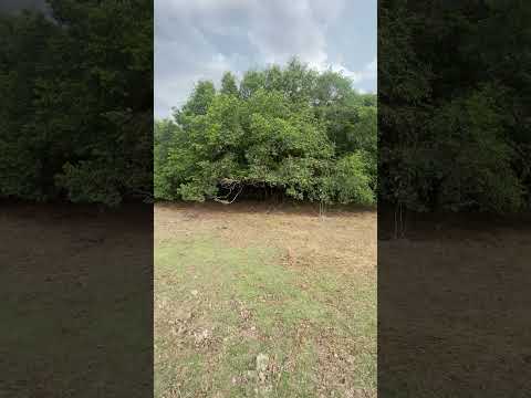 LAGO AQUI NO RETIRO GRANDE, CACHOEIRA DO ARARI,PÁ