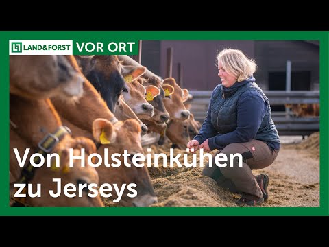 , title : 'Von Holsteinkühen zu Jerseys | LAND & FORST | Vor Ort'