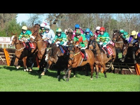 Off You Go - 2019 Leopardstown (Dublin Racing Festival) Ladrokes Hurdle (Build Up, Race & Reaction)