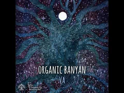 VA - Organic Banyan