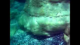 preview picture of video 'Video in Modalità Subacquea nel mare di Capo D'Orlando'