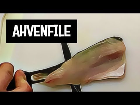 AHVENEN FILEOINTI JA VALMISTUS