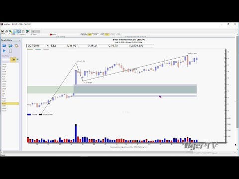 David White Explains Risk Reward For ENDP