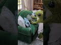 Cleaning Day With Frog Knittedfrog Miniature Cottagecore