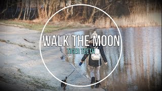 Walk The Moon - Tiger Teeth (Tradução)