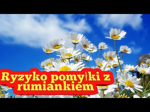 Który produkt, aby zwiększyć siłę mężczyzn Złe dla siły na Ukrainie