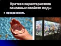 Презентация Вода источник жизни на Земле 