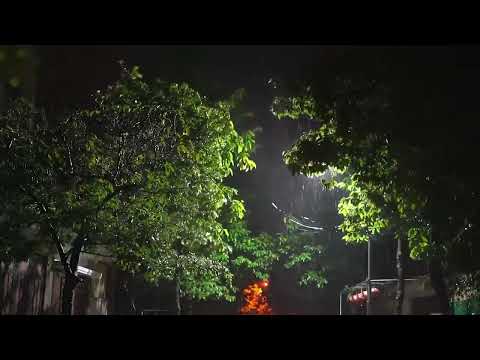 🎧 Soothing Gentle Spring Rain in the Old Park at Night   10 Hours for Relaxation and Sleep