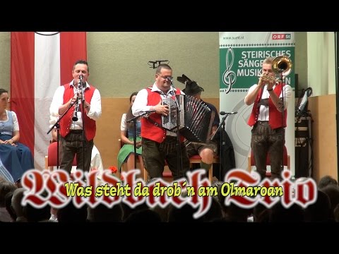 Wildbach Trio  -  Was steht da drob´n am Olmaroan