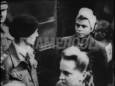 Belsen Trial, Postwar Period, Germany, 1945