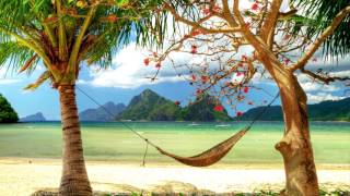 Blu - Amnesia &amp; Vanity