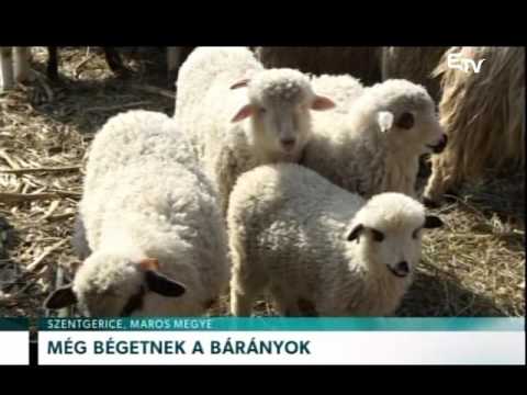 Híradó 2016. március 18. – Erdélyi Magyar Televízió