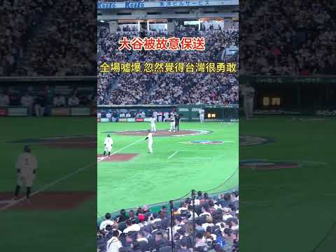 日韓大谷被故意保送滿場噓聲 😆#wbc #大谷翔平 #ShoheiOhtani #東京巨蛋 #TokyoDome