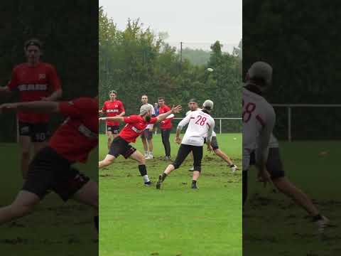 ODM 2022 - German Nationals Hardfisch vs. Frizzly Bears #shorts #ultimatefrisbee #ollihphoto