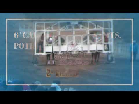 RAMOS  MEXIA   6°    CHE JUANITA   7-5-23