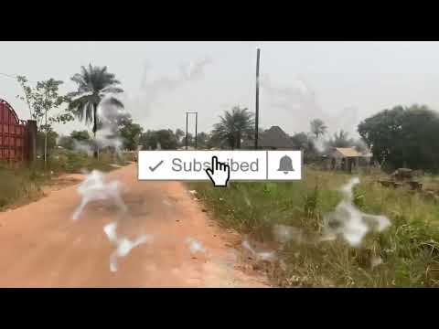 Sierra Leone | Temne Town, Samuel Town, Benguma Highway 🇸🇱🇸🇱🇸🇱